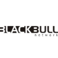 BlackBull Network logo - Similar company to Carbon It