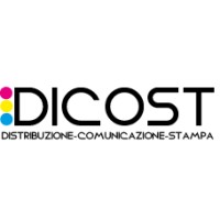 DICOST SRL logo - Similar company to Maveda