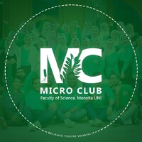 Micro Club Team logo - Similar company to Ever Connection