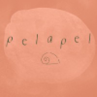 pelapel logo - Similar company to Fknt Properties