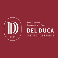 Fondation Simone et Cino Del Duca - Institut de France logo - Similar company to Ethnoart