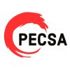 PECSA IT SOLUTIONS logo - Similar company to Runweb
