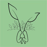 Co.naissance Verte logo - Similar company to Gestivert - Végétalisation Et Décoration De Vos Espaces De Travail
