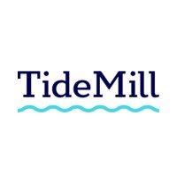 TideMill Group logo - Similar company to Kaizen