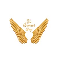The Success Wings logo - Similar company to Metrise Studios