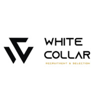 White Collar logo - Similar company to Whitecollars