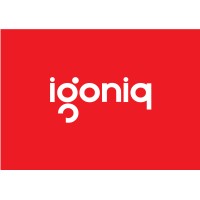 Igoniq logo - Similar company to Bluchisel Business Solutions