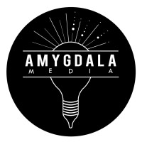 Amygdala Media LLC logo - Similar company to Umit Technologies