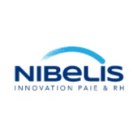 Nibelis logo - Similar company to Silae