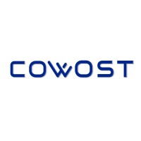 COWOST Engineering & Consultancy® logo - Similar company to Lal Bahçeleri