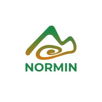 NORMIN logo - Similar company to Comincax (Congreso Minero De Cajamarca)