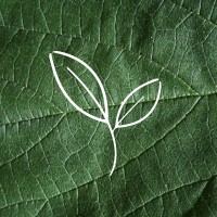 Greenitecture logo - Similar company to From Works