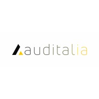 Auditalia logo - Similar company to Emite.Net