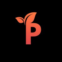 Promotency logo - Similar company to Ism Infosystem