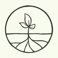 22.Matcha logo - Similar company to Noūra Studios