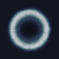 molekulo.de logo - Similar company to Endlosweit