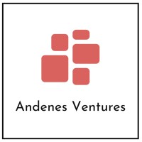 Andenes Ventures logo - Similar company to Aidiom