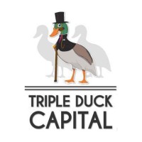 Triple Duck Capital BV logo - Similar company to Opium.Team