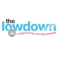 The Lowdown logo - Similar company to The Mccarthy-Dixon Foundation