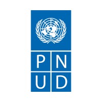 PNUD Brasil logo - Similar company to Onu Mulheres Brasil