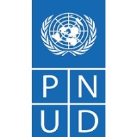 PEGED PNUD logo - Similar company to Ecosense Solutions