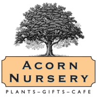 Acorn Nursery logo - Similar company to Speaking Of Learning Speech Pathology