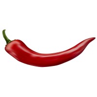 PEPPER logo - Similar company to Stress-Nl