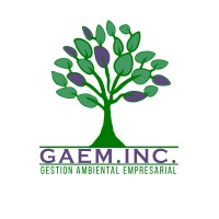 GAEM.INC. logo - Similar company to Bms Controls