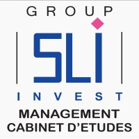 GROUP SLI Invest logo - Similar company to Sli