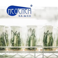 Neochem Mx logo - Similar company to Neochem Gmbh