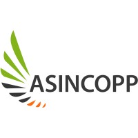 ASINCOPP logo - Similar company to Savvy Technology