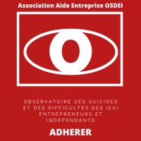 Association Aide Entreprise OSDEI logo - Similar company to Association Parfaire