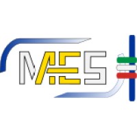Magdi Alimerigo El Sawi (MAES) Consulting logo - Similar company to Mabel Business Consulting Co., Ltd