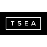 The Search Engine Associates