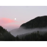 NIBIO Forest and Climate logo - Similar company to Evenstad Forest Research Group