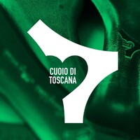 cuoioditoscana logo - Similar company to Ichemsrl
