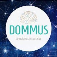 Dommus_streaming logo - Similar company to G&D Streaming