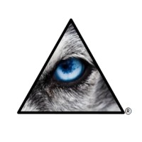MindWolves logo - Similar company to Dynamis Software