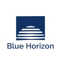 Blue Horizon Ltda logo - Similar company to Metacat Netxol Uae