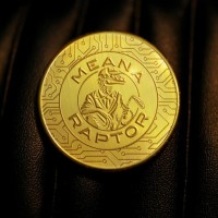 Meana Raptor logo - Similar company to Xode Blockchain