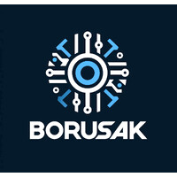 Borusak Consulting logo - Similar company to Switch