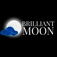 BrilliantMoon logo - Similar company to Neocortexai