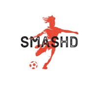 SMASHD Research Group logo - Similar company to Activebrainuc