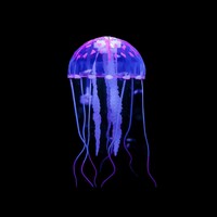 HomeGrown Products logo - Similar company to Guidly