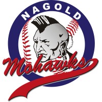 Nagold Mohawks e.V. 1996 logo - Similar company to Digital Hub Nagold