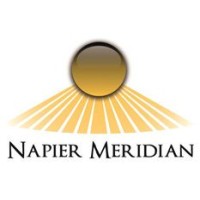 Napier Meridian logo - Similar company to Levin Sources