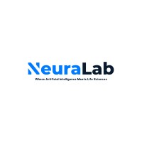 NeuraLab logo - Similar company to Sinapardazesh