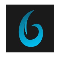 Blayze Branding logo - Similar company to Shosu Amsterdam
