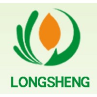 Gansu Longsheng Trading Co.,Ltd logo - Similar company to Gansu Wanwei Information Technology Co.,Ltd.