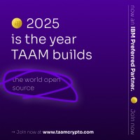 TAAM-WEB3 logo - Similar company to Taam Soft Llc